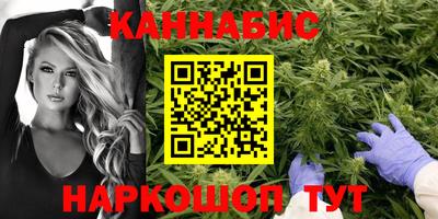 стафф Обь
