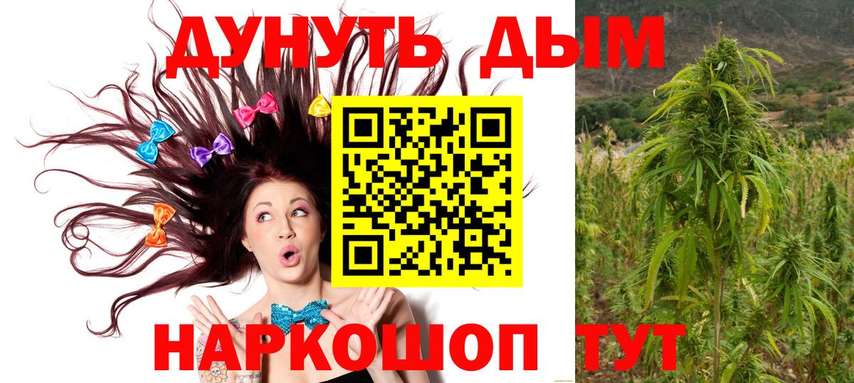 Канабис VHQ Ставрополь